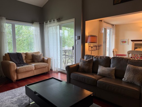 Intérieur - D-301-261 Rue Merry S., Magog, QC - Indoor Photo Showing Living Room