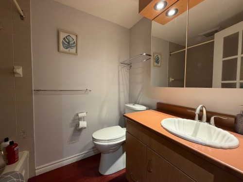 Salle de bains - D-301-261 Rue Merry S., Magog, QC - Indoor Photo Showing Bathroom