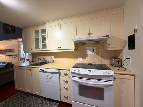 Cuisine - D-301-261 Rue Merry S., Magog, QC - Indoor Photo Showing Kitchen
