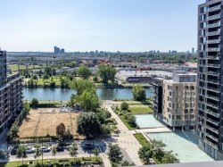 View - 
