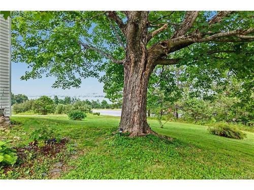 7304 Rte 102, Dumfries, NB 