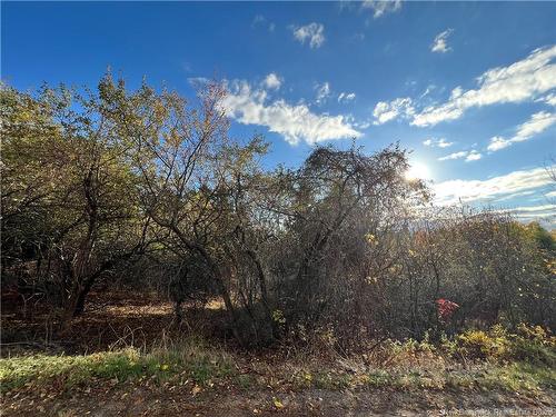 73 Tavener Terr, Picadilly, NB 