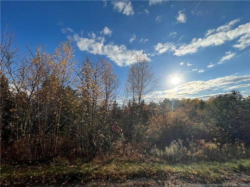 73 Tavener Terr, Picadilly, NB 
