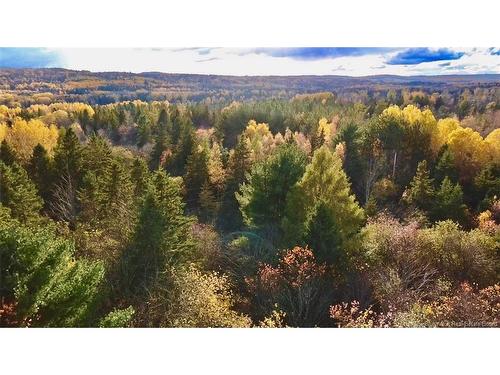 73 Tavener Terr, Picadilly, NB 