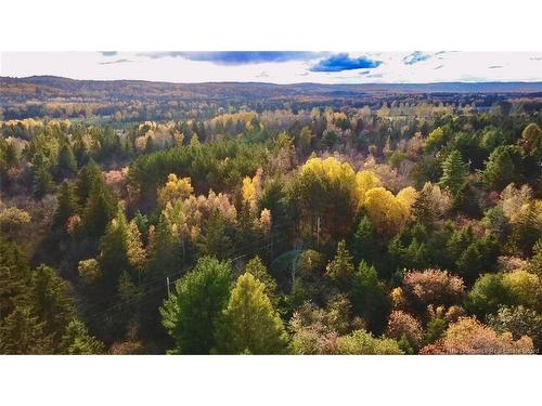 73 Tavener Terr, Picadilly, NB 