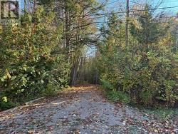 28 GEORGE STREET Bluewater (Bayfield), ON N0M 1G0