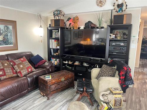 14 Goldfinch Crescent, Brandon, MB - Indoor Photo Showing Living Room