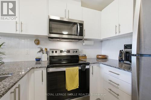 308 - 107 Roger Street, Waterloo, ON - Indoor Photo Showing Kitchen With Upgraded Kitchen