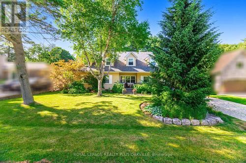 43 Ravina Crescent, Hamilton, ON - Outdoor
