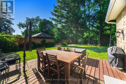 43 Ravina Crescent, Hamilton, ON - Outdoor With Deck Patio Veranda With Backyard
