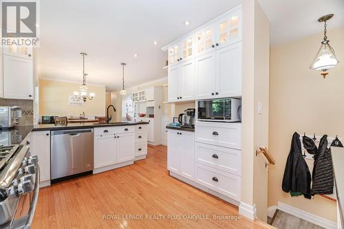43 Ravina Crescent, Hamilton, ON - Indoor Photo Showing Kitchen With Upgraded Kitchen