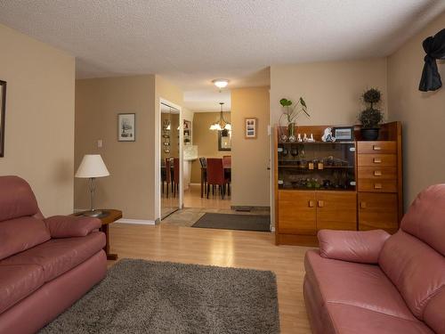 237 Anten St., Thunder Bay, ON - Indoor Photo Showing Living Room