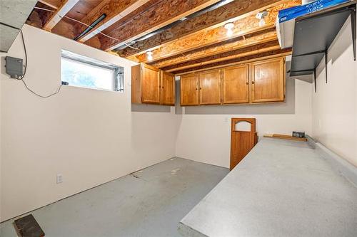 149 Bridgeview Dr, St Clements, MB - Indoor Photo Showing Basement