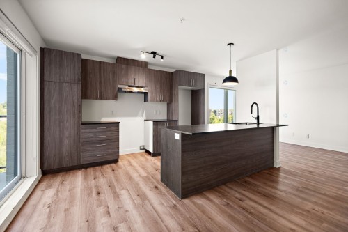 Cuisine - 405-645 Rue René-Lecavalier, Terrebonne (Terrebonne), QC - Indoor Photo Showing Kitchen