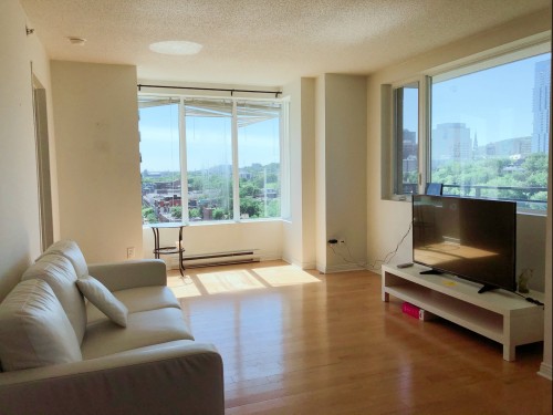 Salon - 1310-1200 Rue St-Jacques, Montréal (Ville-Marie), QC - Indoor Photo Showing Living Room