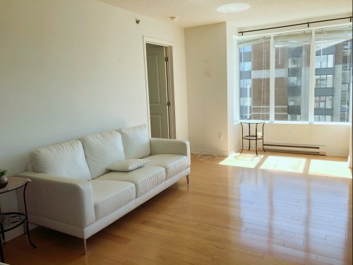 Salon - 1310-1200 Rue St-Jacques, Montréal (Ville-Marie), QC - Indoor Photo Showing Living Room