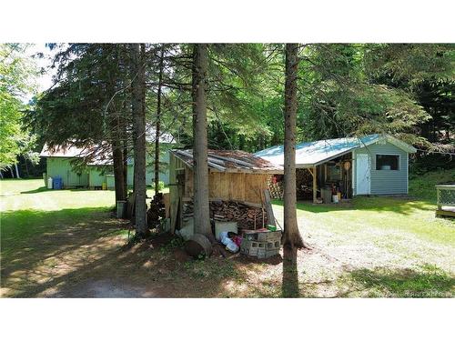 161 Leonard Colony Rd, Red Rapids, NB 