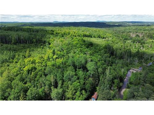 161 Leonard Colony Rd, Red Rapids, NB 