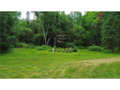 161 Leonard Colony Rd, Red Rapids, NB 