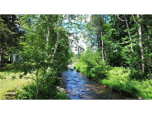 161 Leonard Colony Rd, Red Rapids, NB 