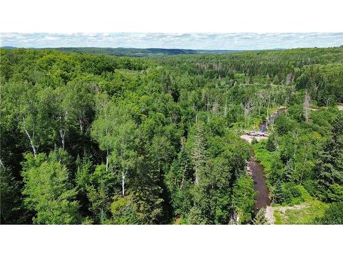 161 Leonard Colony Rd, Red Rapids, NB 
