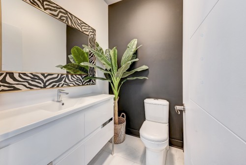 Salle d'eau - 17 Place De La Rive, Saint-Mathieu, QC - Indoor Photo Showing Bathroom