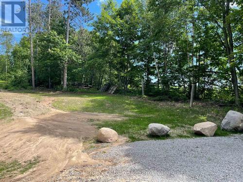 90 14 Concession E, Tiny, ON - Outdoor