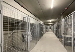 Storage - 