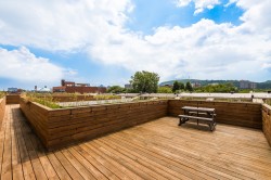 Patio - 