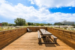 Patio - 