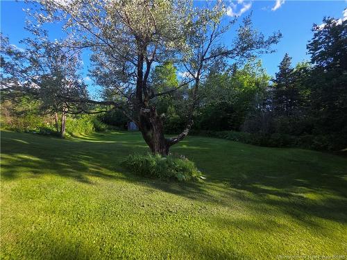 3 Ferris Rd, Red Rapids, NB 