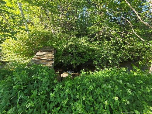 3 Ferris Rd, Red Rapids, NB 