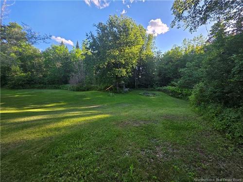 3 Ferris Rd, Red Rapids, NB 