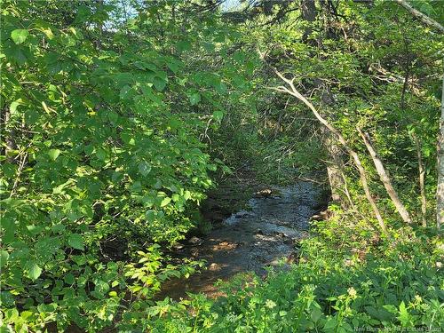 3 Ferris Rd, Red Rapids, NB 