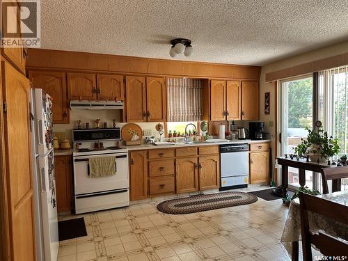 213 5Th Street, Weyburn, SK - Indoor Photo Showing Kitchen With Double Sink