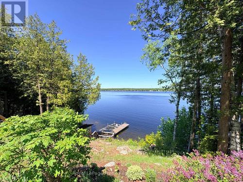 944 Birchcliff Drive, Douro-Dummer, ON - Outdoor With Body Of Water With View