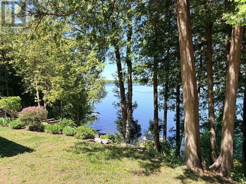 944 Birchcliff Drive, Douro-Dummer, ON - Outdoor With View