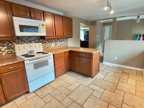64 Maple Street, Thunder Bay, ON - Indoor Photo Showing Kitchen
