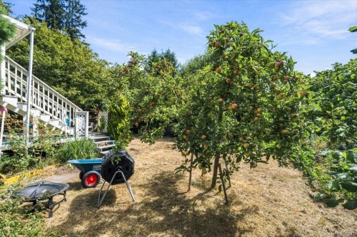 448 Lenhart Ave, Nanaimo, BC 