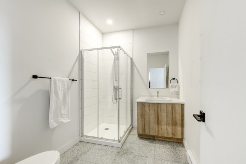 Salle de bains - 4793 Rue Ste-Catherine E., Montréal (Mercier/Hochelaga-Maisonneuve), QC - Indoor Photo Showing Bathroom