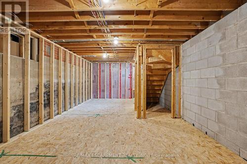 100 Hardale Crescent, Hamilton, ON - Indoor Photo Showing Basement