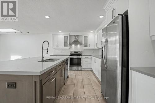 100 Hardale Crescent, Hamilton, ON - Indoor Photo Showing Kitchen With Double Sink With Upgraded Kitchen