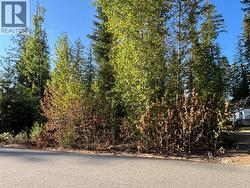 30 Lusk Lake Road Lot# 73 Enderby, BC V0E 1V5