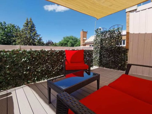 Patio - 3046 Le Boulevard, Montréal (Ville-Marie), QC - Outdoor