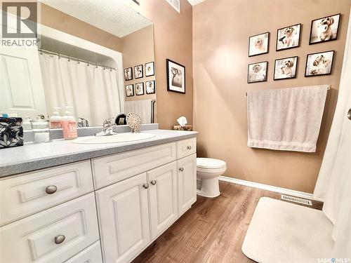 301 Rosher Street, Colonsay, SK - Indoor Photo Showing Bathroom