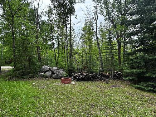 28 Lakeview Dr, Alexander, MB - Outdoor