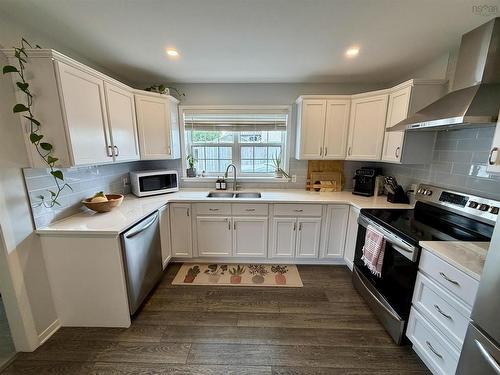 18 Crockett Court, Antigonish, NS - Indoor Photo Showing Kitchen With Double Sink