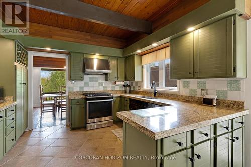 565 Fountain Street S, Cambridge, ON - Indoor Photo Showing Kitchen With Double Sink