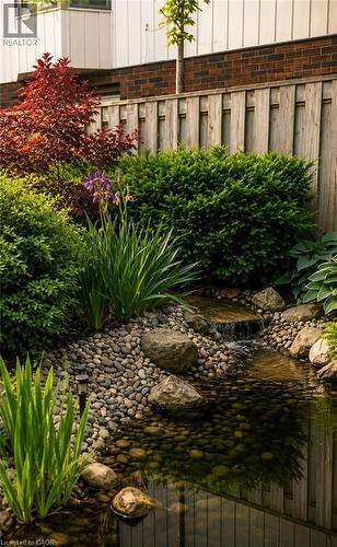 33 Fairlawn Road, Kitchener, ON - Outdoor