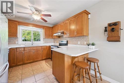 Updated kitchen with granite countertops, stainless steel appliances, and  backsplash - 187 Westchester Drive, Kitchener, ON - Indoor Photo Showing Kitchen